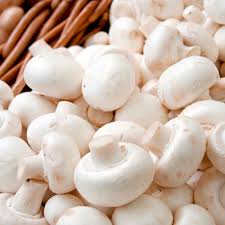 White button mushrooms pile