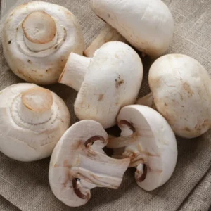 Fresh white button mushrooms